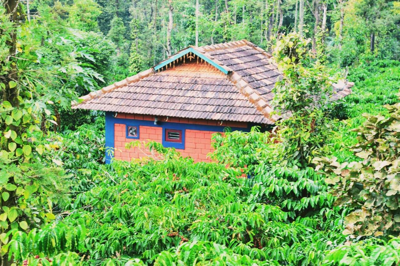 Agastya Lake View Coorg Madikeri Esterno foto