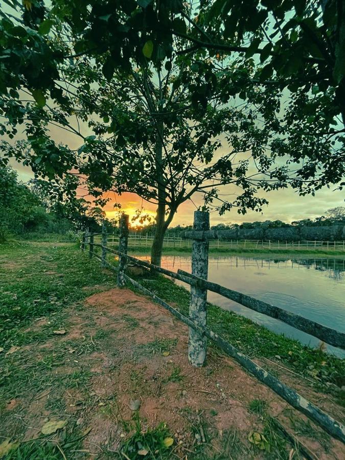 Agastya Lake View Coorg Madikeri Esterno foto